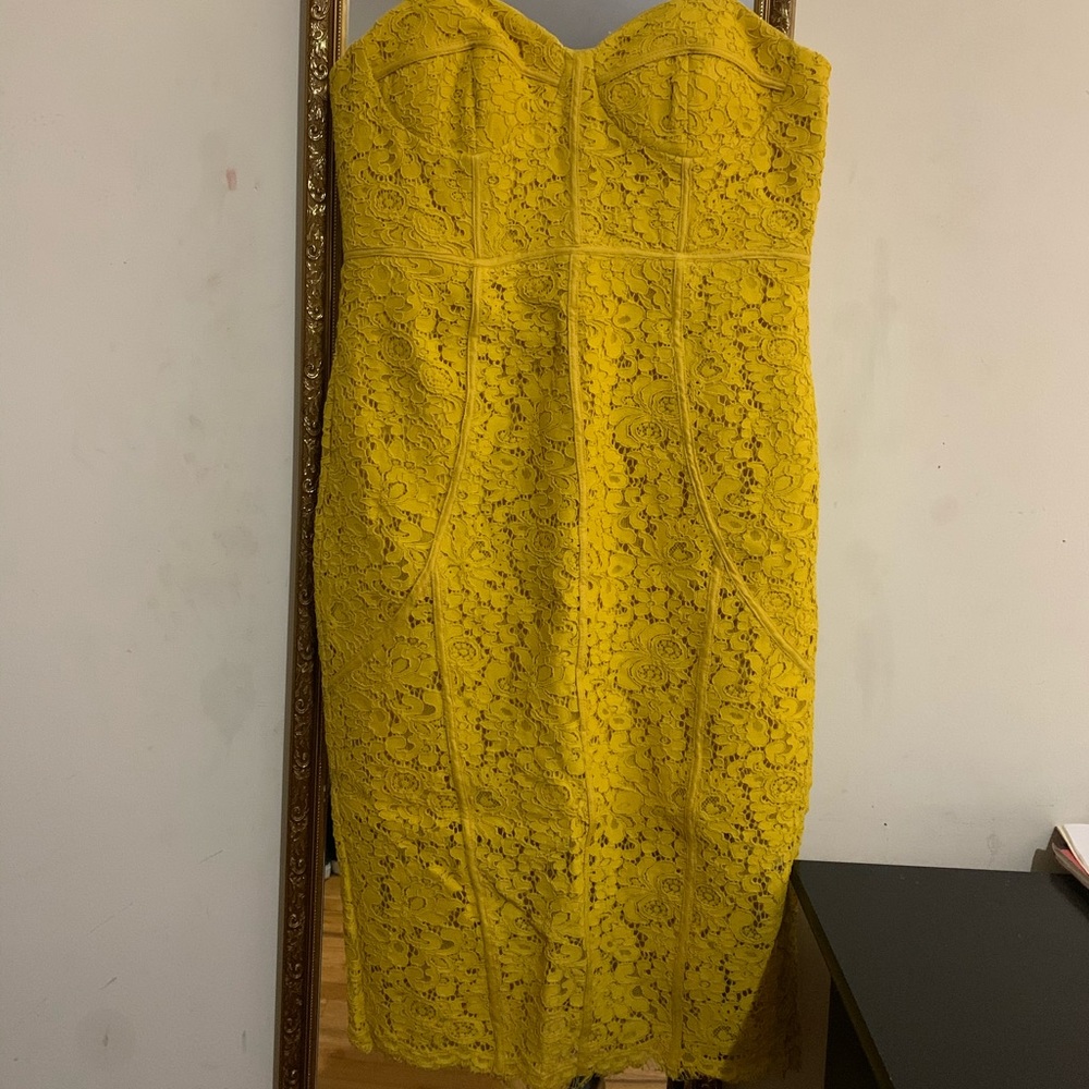 Bardot lace dress (new without tags)